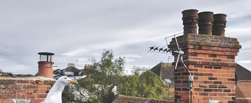 Chimney Cleaning And Restoration in Crawfordsville, Indiana